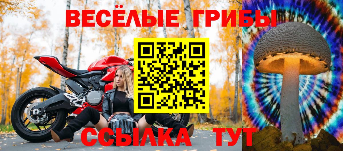 Псилоцибиновые грибы Magic Shrooms Кимовск
