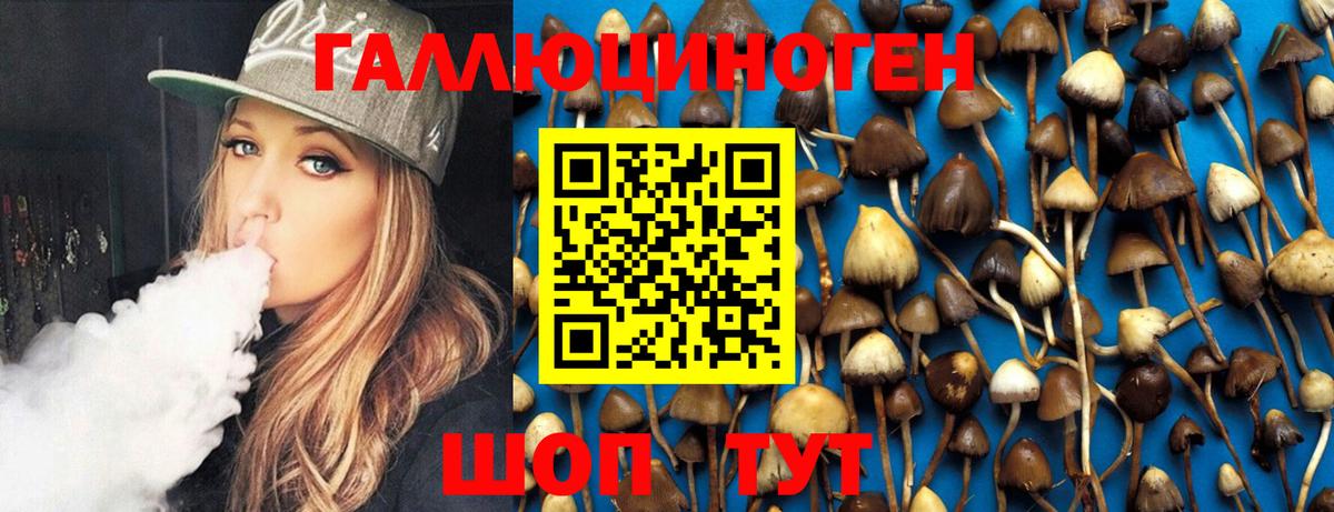 Галлюциногенные грибы Psilocybine cubensis  Галлюциногенные грибы MAGIC MUSHROOMS  купить закладку  Вход с VPN  Кимовск 